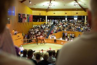 Karaka Book 3 Sale format confirmed for 2020.